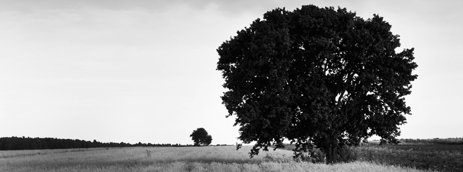 免费DDOS攻击测试工具