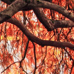 攻击网站服务器