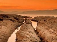 卡密批发价的网页DDOS攻击平台